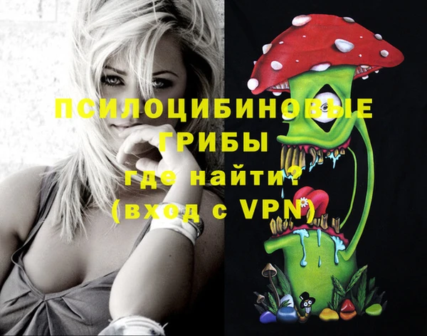 дживик Бородино