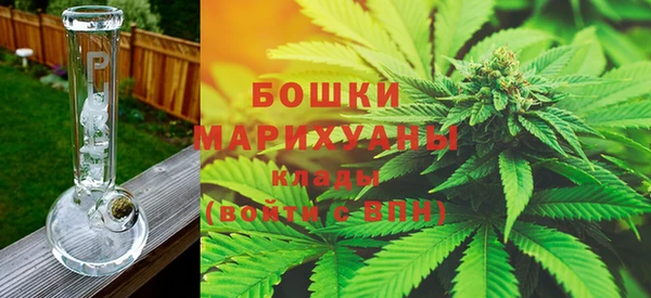 дживик Бородино