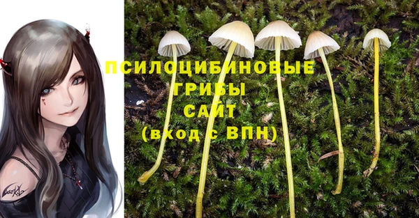 дживик Бородино