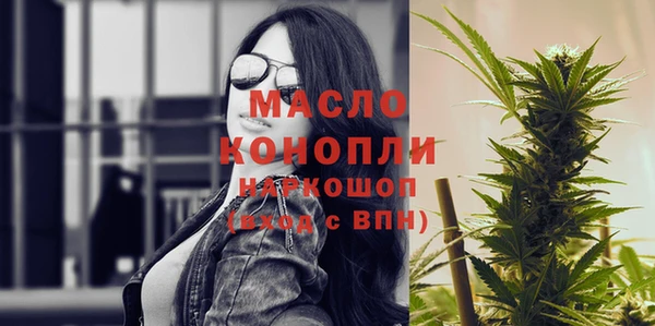 дживик Бородино
