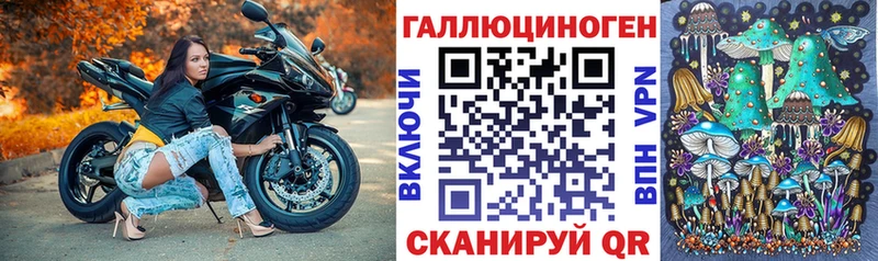 kraken онион Мещовск Галлюциногенные грибы GOLDEN TEACHER